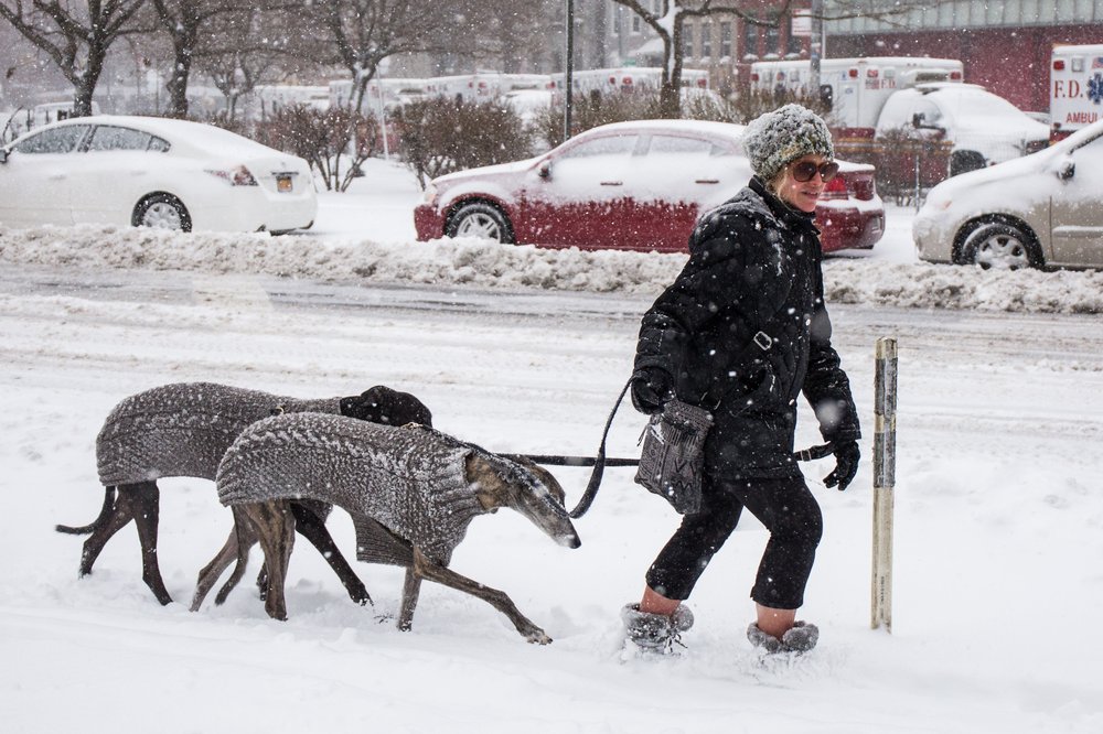 47c15eda9snow-69-jpg.jpeg