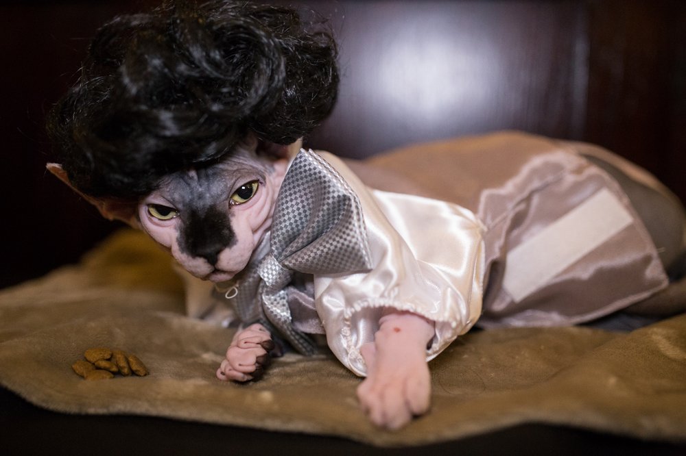 4cbb800e4img_3647-sweeny-todd-jpg.jpeg "Sweeney Todd"<br>