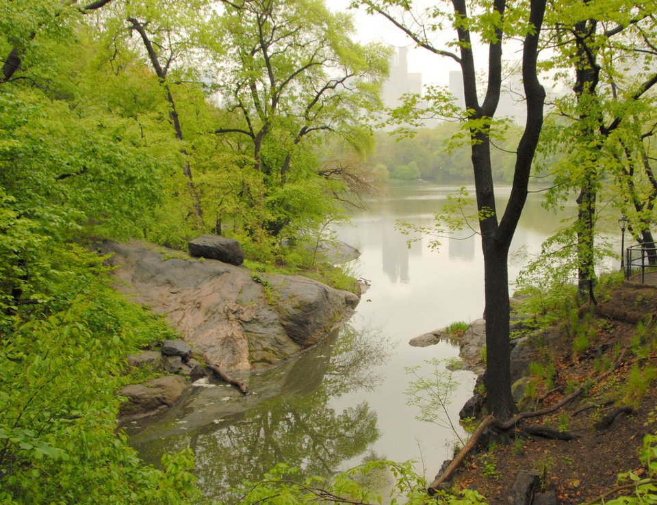 The Lake (the cave), present day. (Courtesy of the Central Park Conservancy)