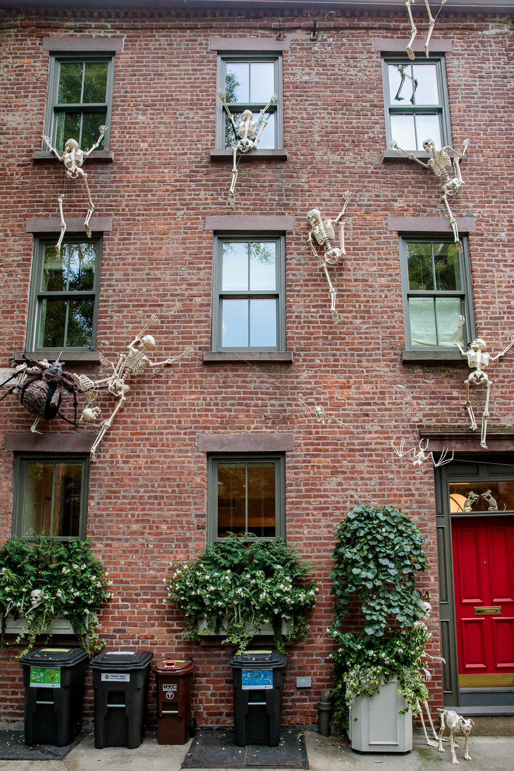 531179c39carrollgardenscobblehillhalloweendecorations-31-jpg.jpeg