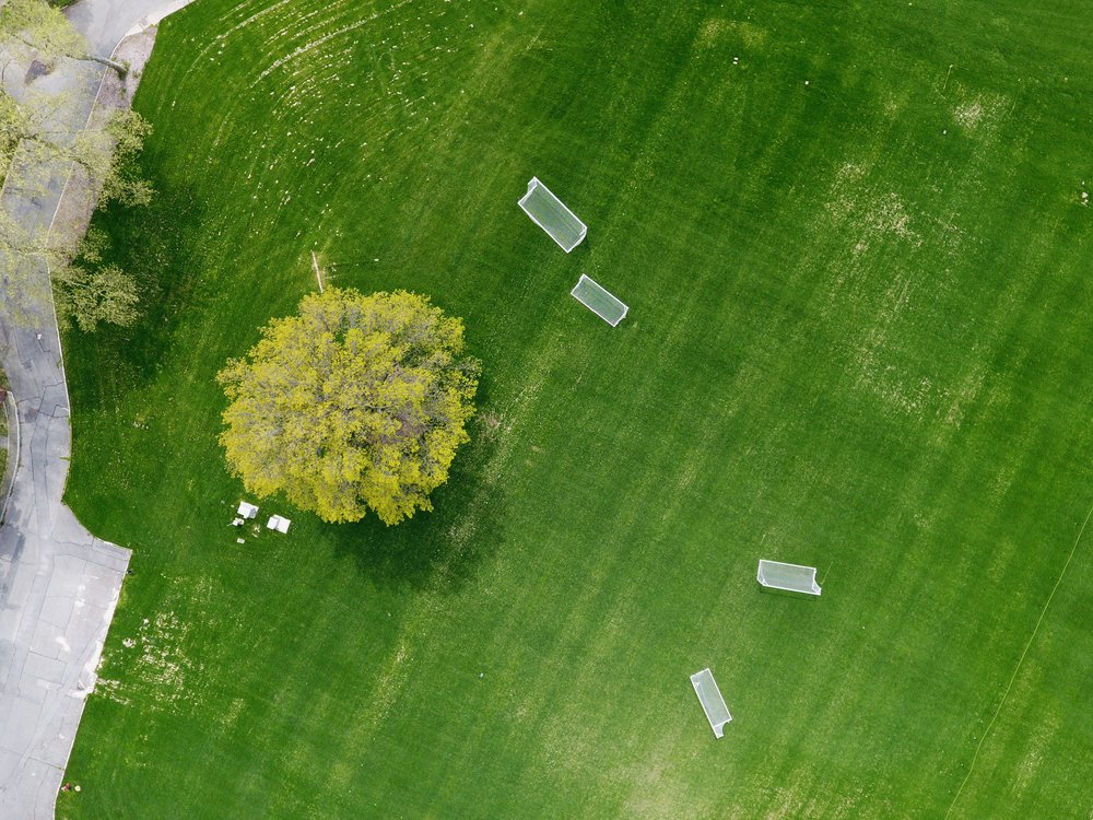 538905341dji_0473-jpg.jpeg