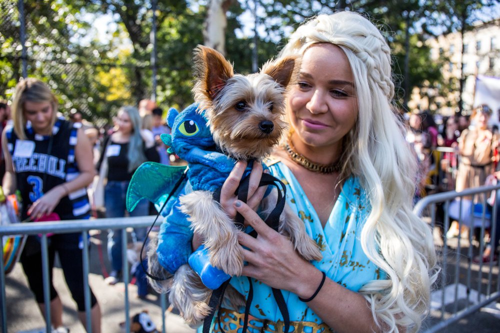 55150388adoghalloween-49-jpg.jpeg