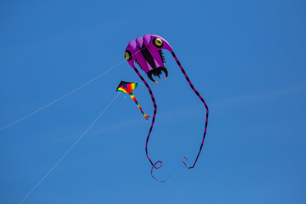 56e223845kitefest-31-jpg.jpeg