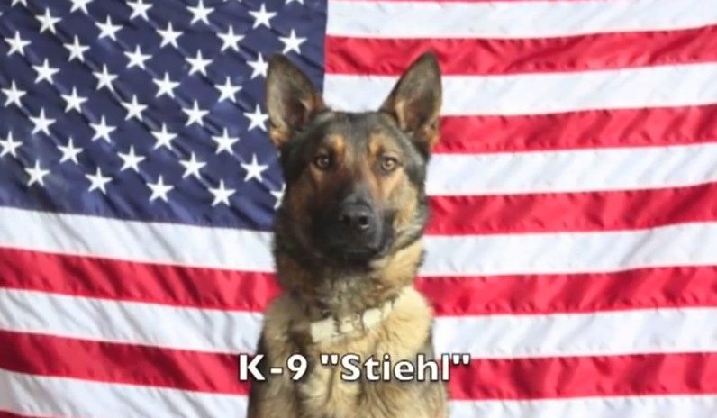 "Stiehl" named in memory of MTA Police Lieutenant Kristin Stiehl Murray.