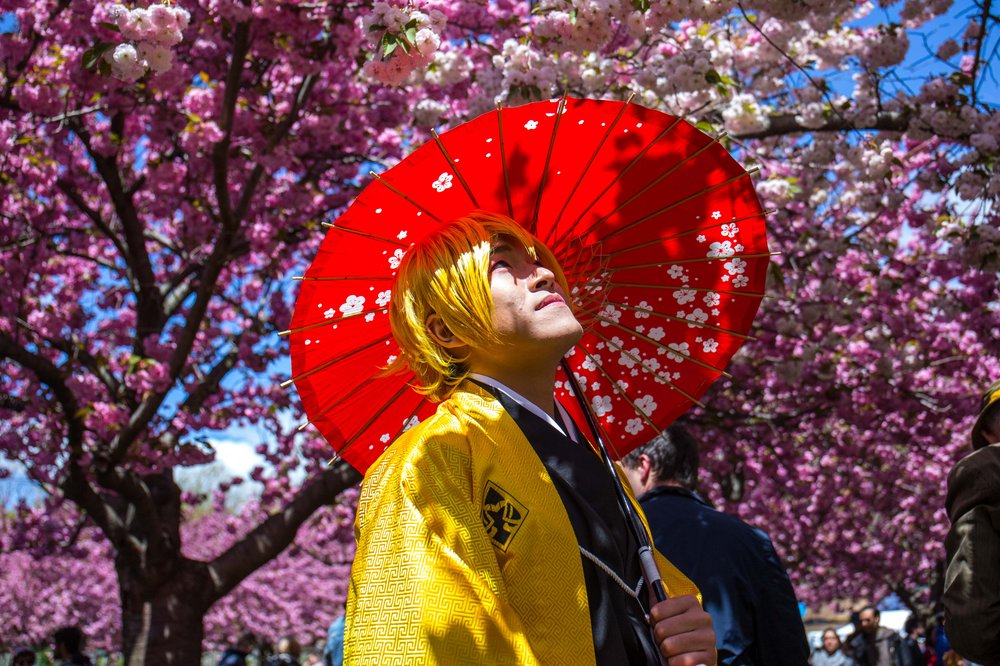 5ba042dbdsakura-89-jpg.jpeg