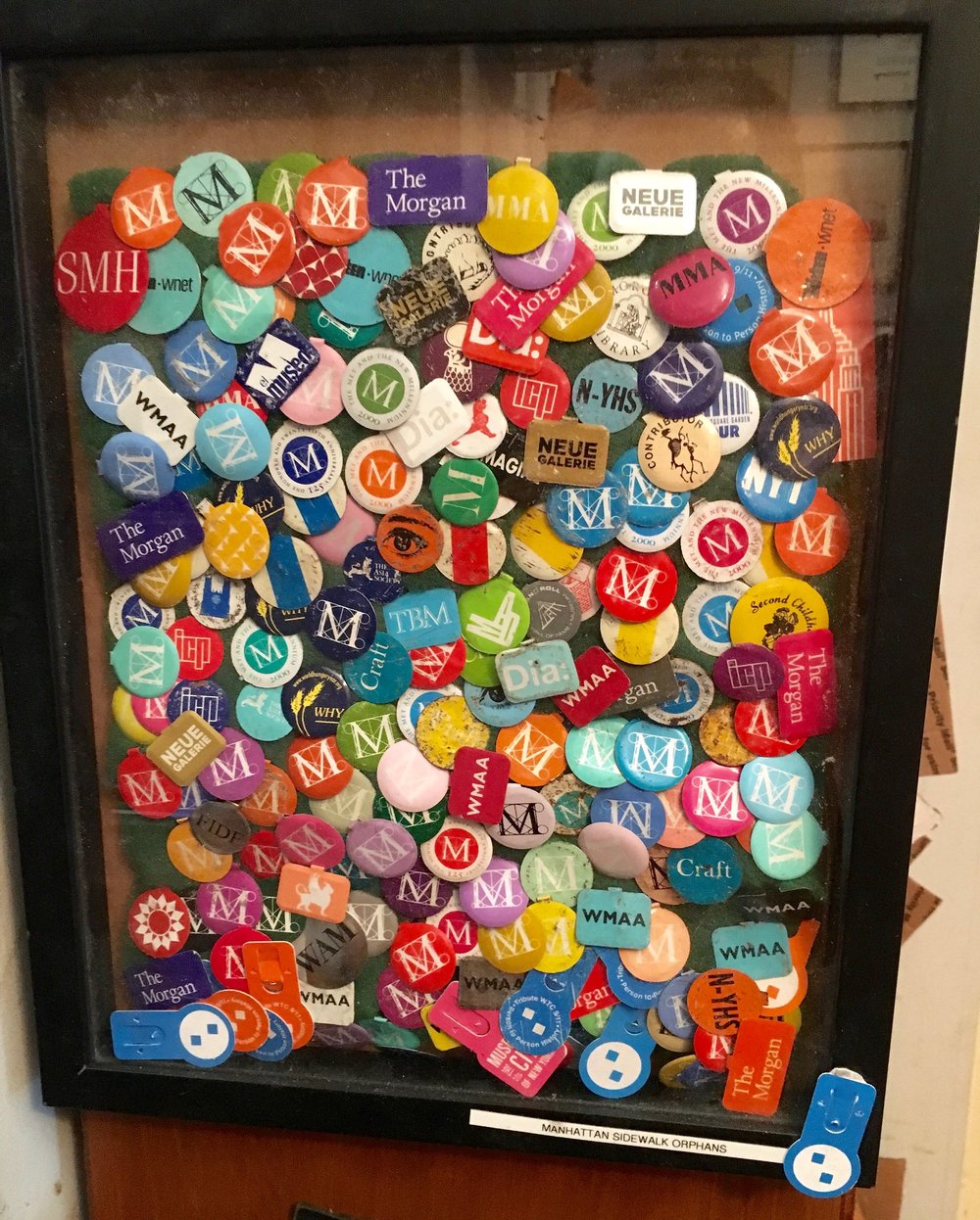 5be83052c46898893635_c97f09914f_k-jpg.jpeg
