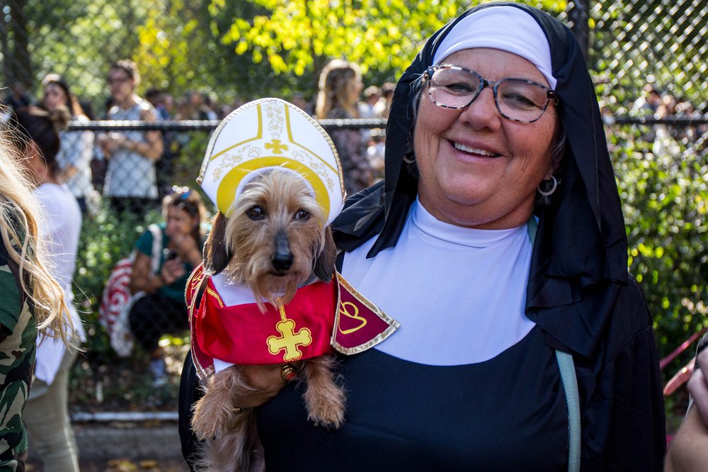 5c3e47bd5doghalloween-173-jpg.jpeg