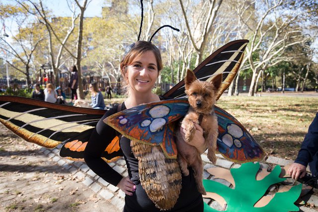 5d8e4b6ee20171028-img_5441-jpg-mobile.jpeg Butterflies!