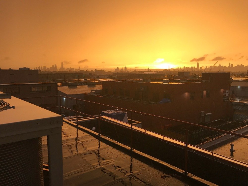 5da336a56elsewhere-rooftop-jpg.jpeg Courtesy of Elsewhere