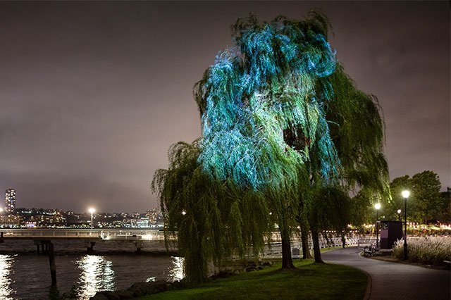 6-PAF-9410.jpg Tony Oursler: Tear of the Cloud, 2018