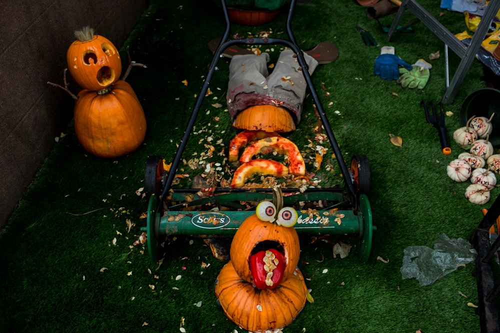 61e6f19cb102417pumpkindisplay-9-jpg.jpeg