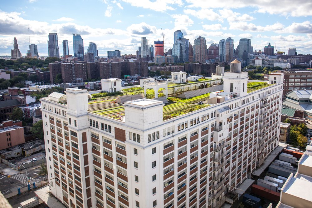 62202cf6fbuilding77-24-jpg.jpeg Brooklyn Grange<br/>