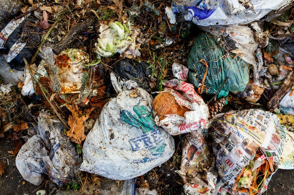 644cd445e032517compostdsny-6-jpg.jpeg Collected compostable waste.</br>