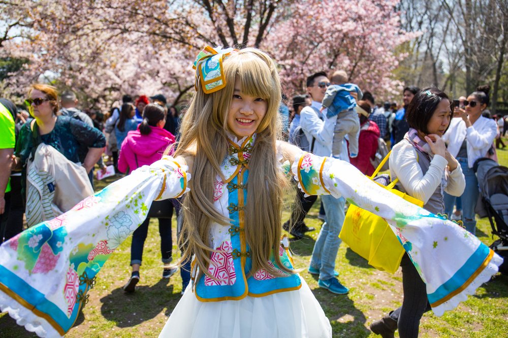 646ea66d4sakura-11-jpg.jpeg