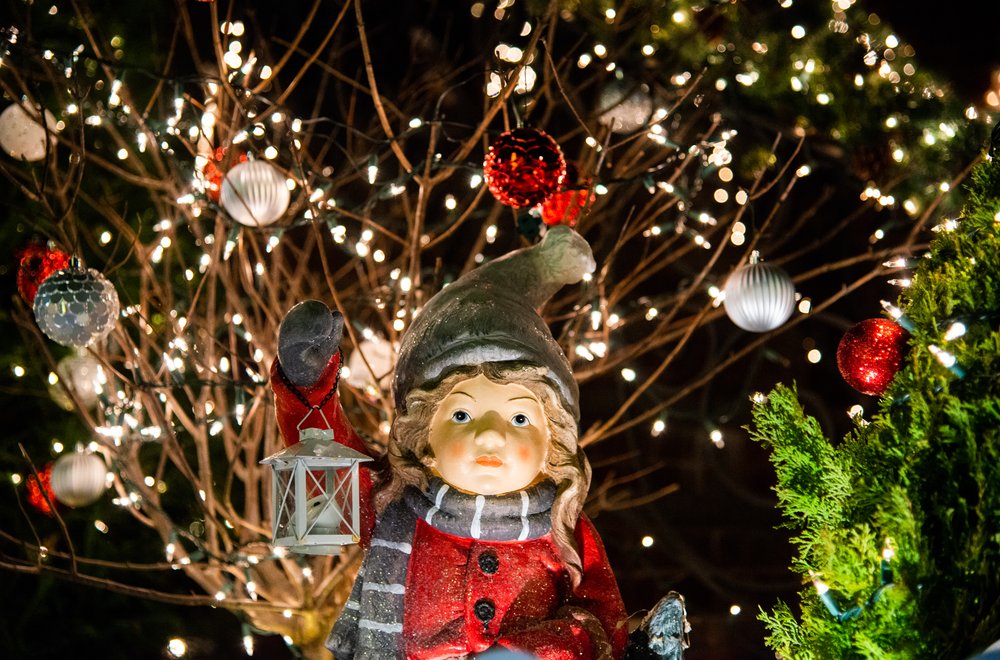 6486c2812navidbaraty-dykerheights-49-jpg.jpeg