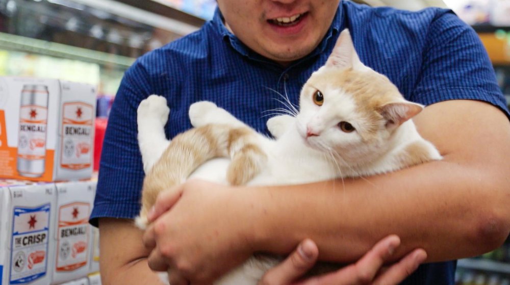 655e5d88dcharliebcitow-jpg.jpeg This is Charlie, who is okay with hugs but not too many. One per customer. <br>(Amy Pearl / WNYC)