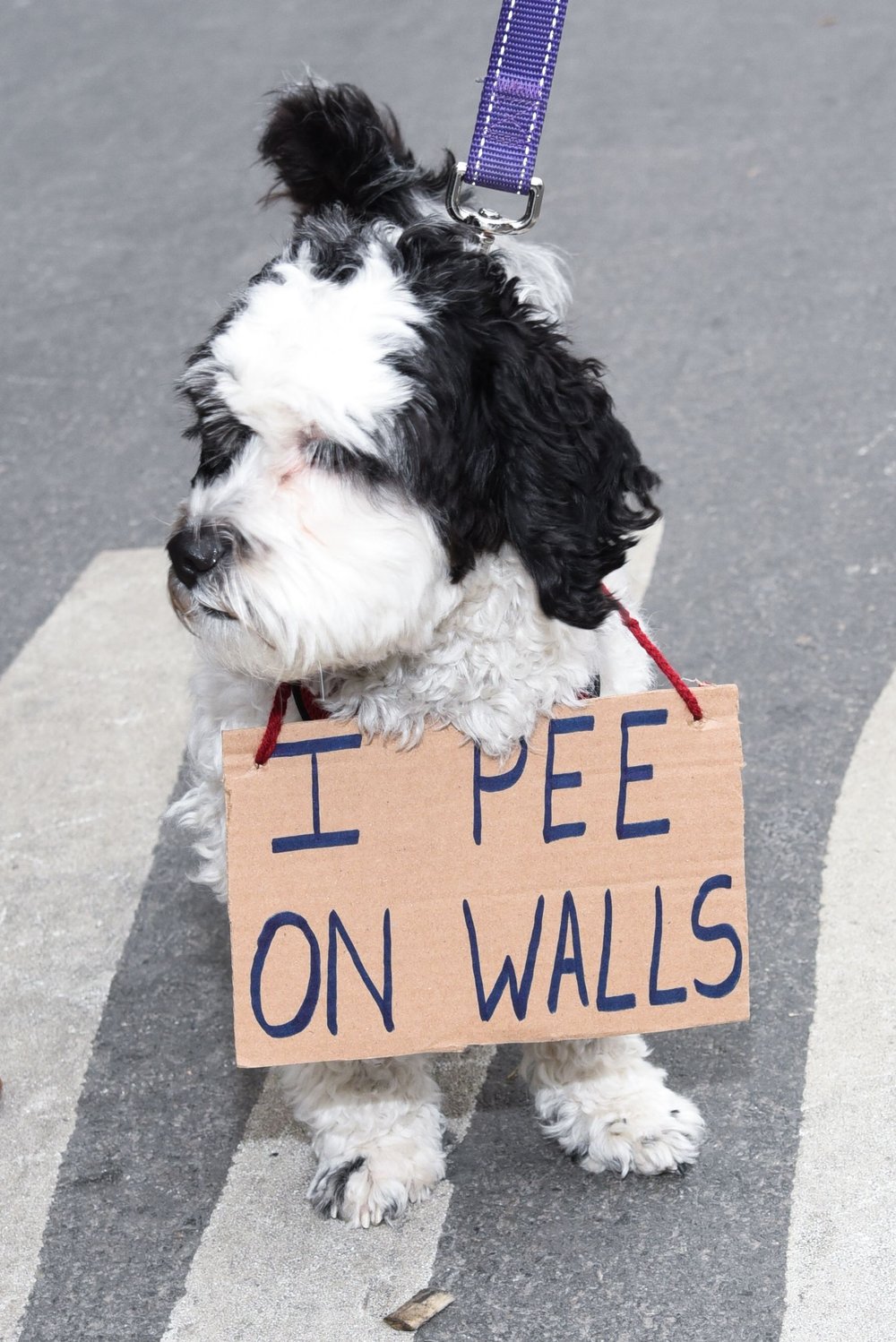 (NameFace LLC/Shutterstock)