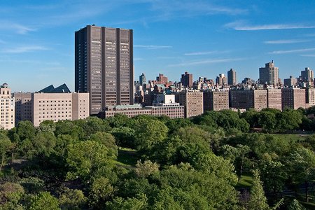 A pleasant, tree-lined view of Mount Sinai Hospital, the site where the baby tapeworm incident happened.