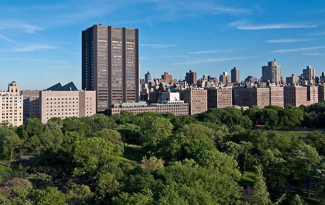 A pleasant, tree-lined view of Mount Sinai Hospital, the site where the baby tapeworm incident happened.