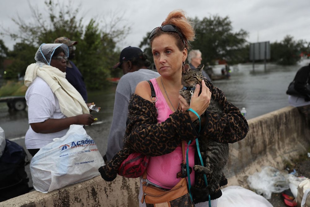 672f6ef4dgettyimages-841007158-jpg.jpeg Evacuees wait to be transported to a shelter after being rescued from the flooding of Hurricane Harvey on August 30, 2017 in Port Arthur, Texas<br>(Getty Images)