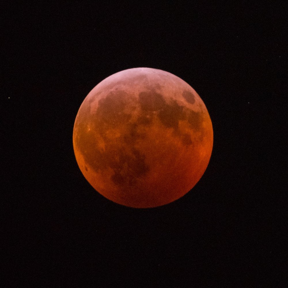6870cc727shutterstock_10069460c-jpg.jpeg The super blood wolf moon over New York (Erik Pendzich/Shutterstock)