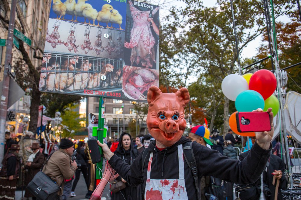 6c33cf55ehalloween-4-jpg.jpeg