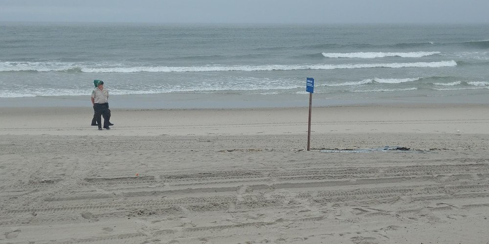 718a388a1052918rockbeach-jpg.jpeg
