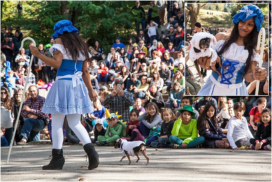 71efe9d8b.jpeg Little Bo Peep and a sheep<br/>