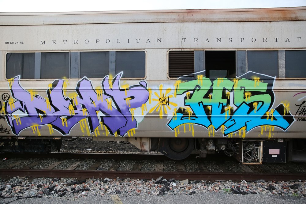 726673587abandonedlirr_alixpiorun-02-jpg.jpeg