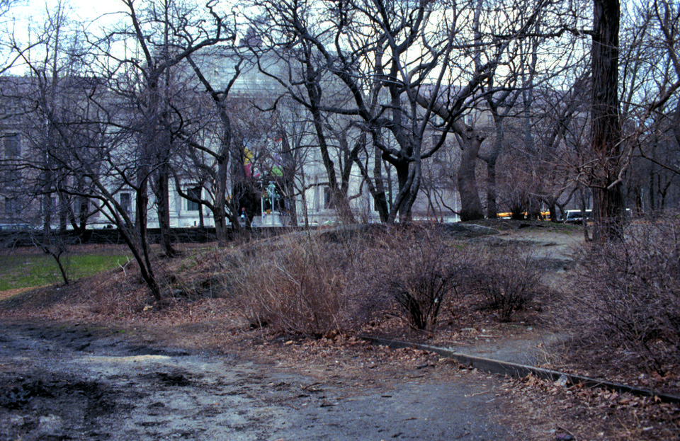 Naturalists Walk, 1980s. (Courtesy of the Central Park Conservancy)