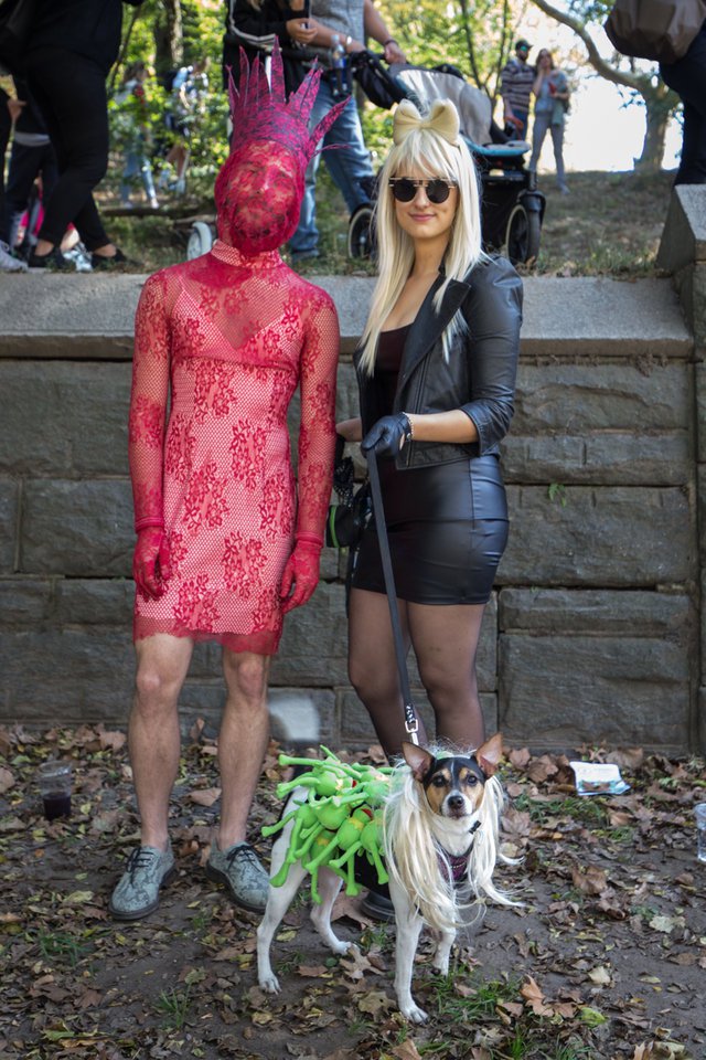 75feec7df20171028-img_5558-jpg-mobile.jpeg Various Lady Gaga looks