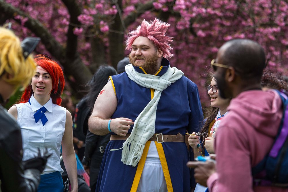 76f4ea1d6sakura-74-jpg.jpeg