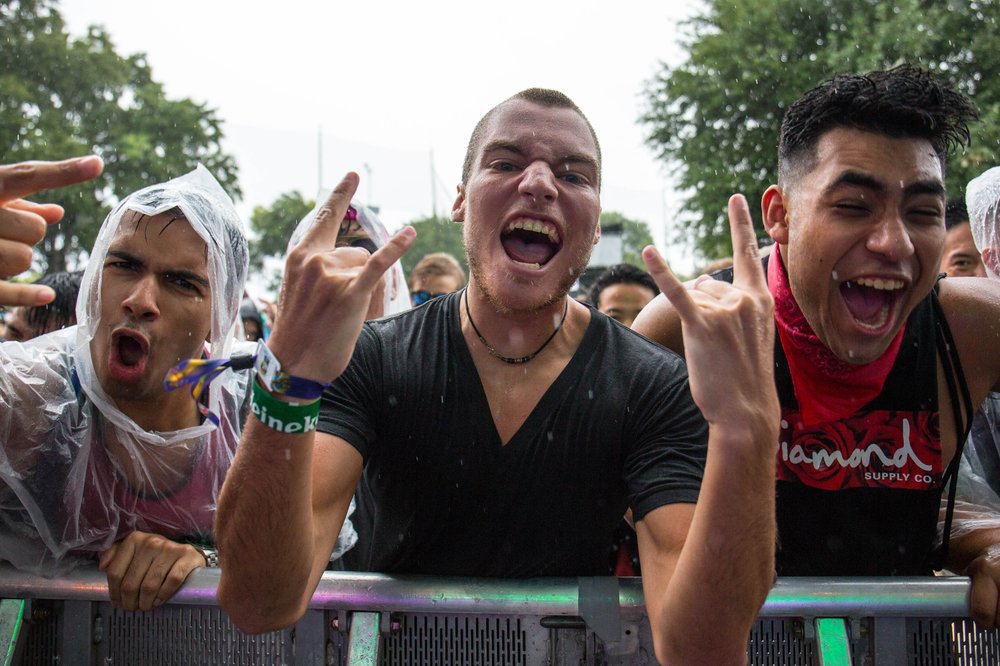 7a2d7c244ezoo-85-jpg.jpeg