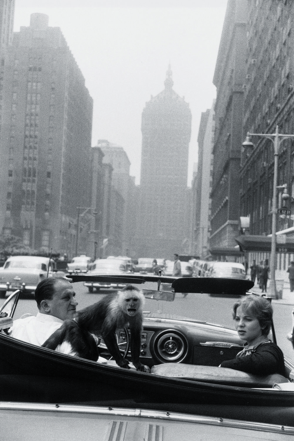 7ca822b1apark-avenue_new-york_1959_-jpg.jpeg Park Avenue, New York, 1959. Center for Creative Photography, The University of Arizona. © The Estate of Garry Winogrand, courtesy of Fraenkel Gallery, San Francisco.