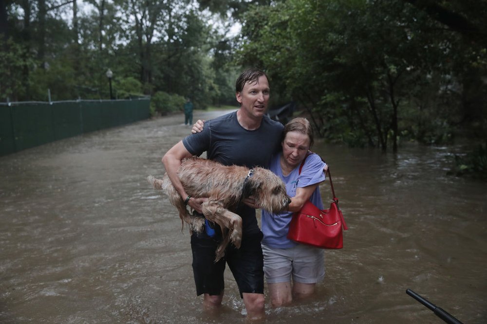 7d335553bgettyimages-839917936-jpg.jpeg Andrew White helps a neighbor and her dog leave the River Oaks neighborhood in Houston on August 27, 2017.