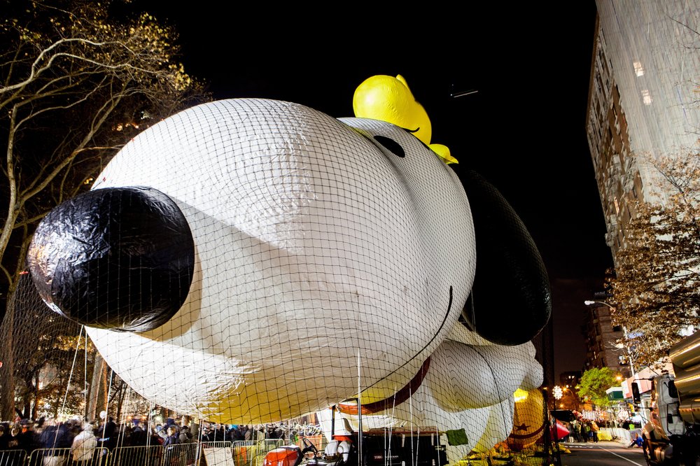 7d7a2f465.jpeg Snoopy! Woodstock!<br>