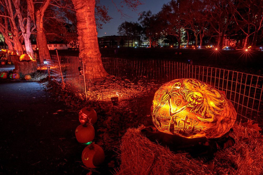 7edd22916riseofjackolanterns-todseelie-15-jpg.jpeg