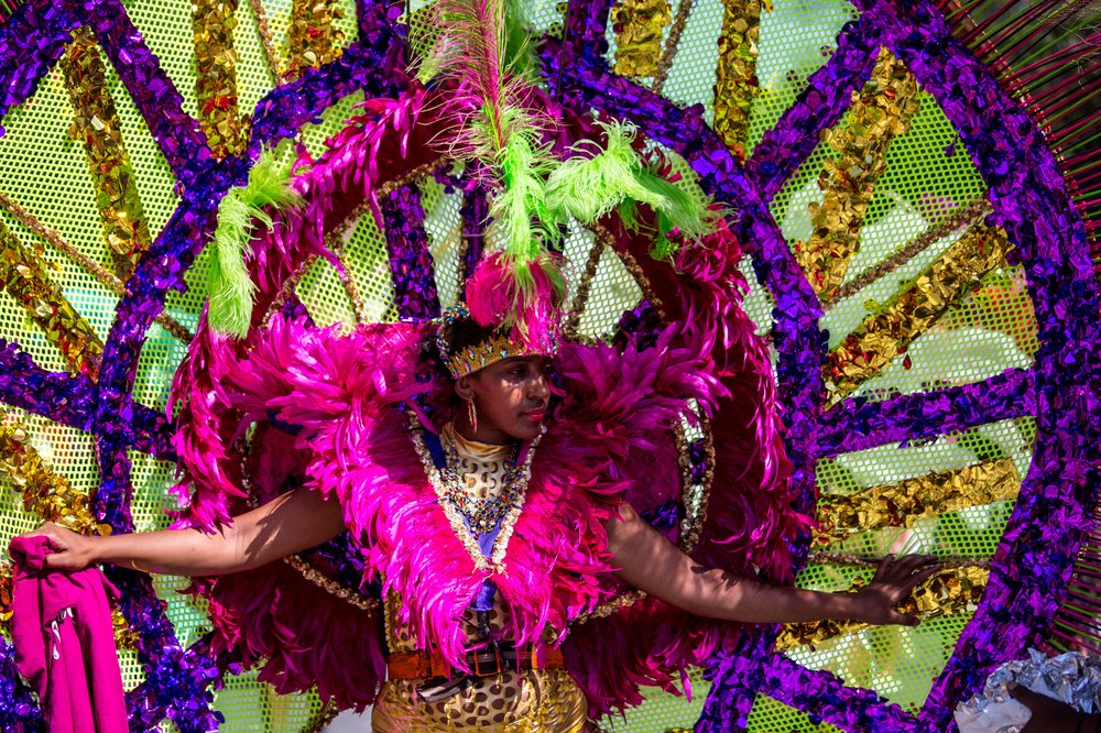 816f93db8westindian-141-jpg.jpeg