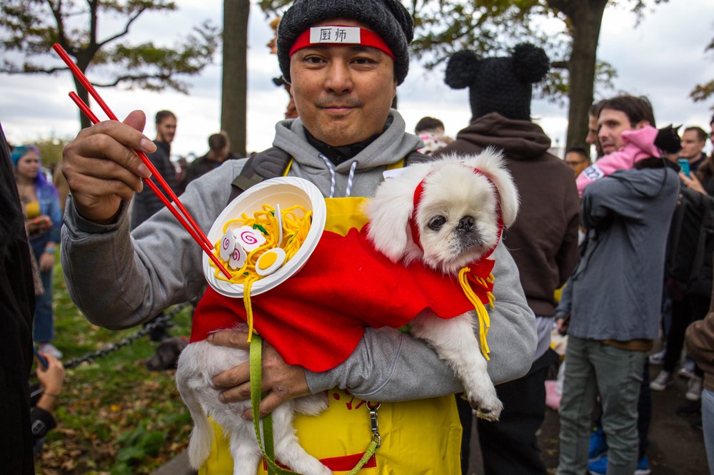 81d4d4463dog-221-jpg.jpeg