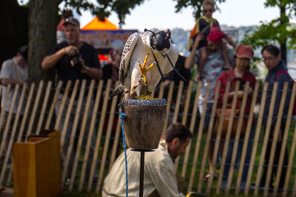 8354f9e55medieval-56-jpg.jpeg