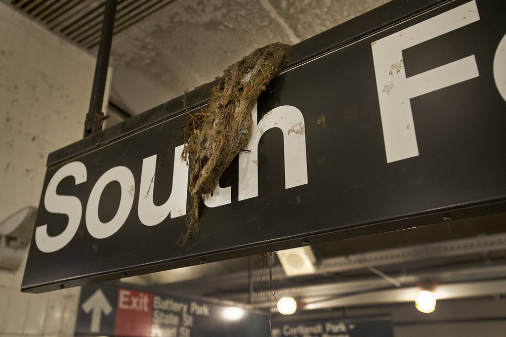 83e8d89fc8393671320_24382ea4bd_b-jpg.jpeg (MTA Photos)