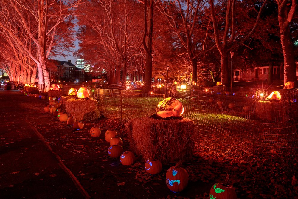 847f113d1riseofjackolanterns-todseelie-20-jpg.jpeg