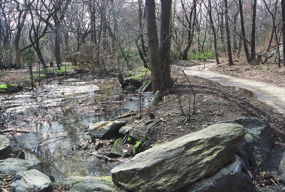 Azalia Pond, 1980s. (Courtesy of the Central Park Conservancy)