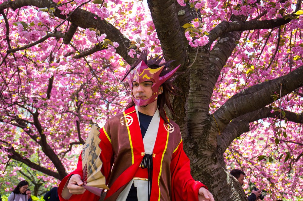 86a34e1f7sakura-41-jpg.jpeg