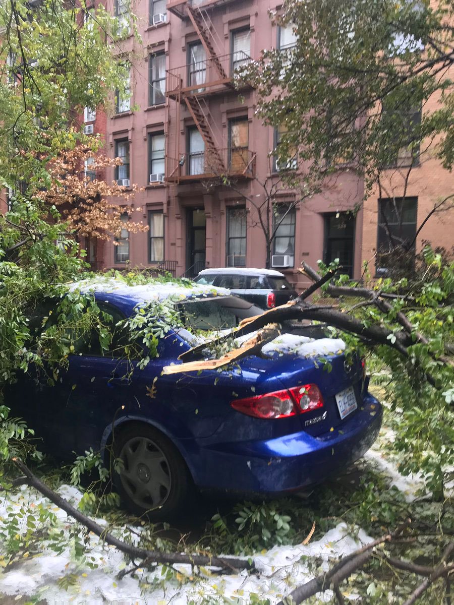 88bb7c3c4uestree-jpg.jpeg Downed trees on the Upper East Side (<a href="https://twitter.com/RoseFergulano/status/1063431449183993857">rose fergulano / Twitter</a>)