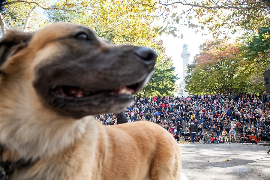 8a7fb38f8.jpeg Huge crowd<br>