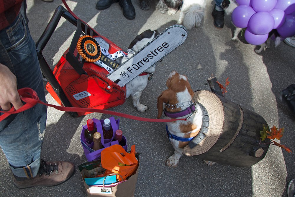 8d6952fc56e0c5eb8b_mg_6058-jpg-jpeg.jpeg Excellent elaborate team costume<br>
