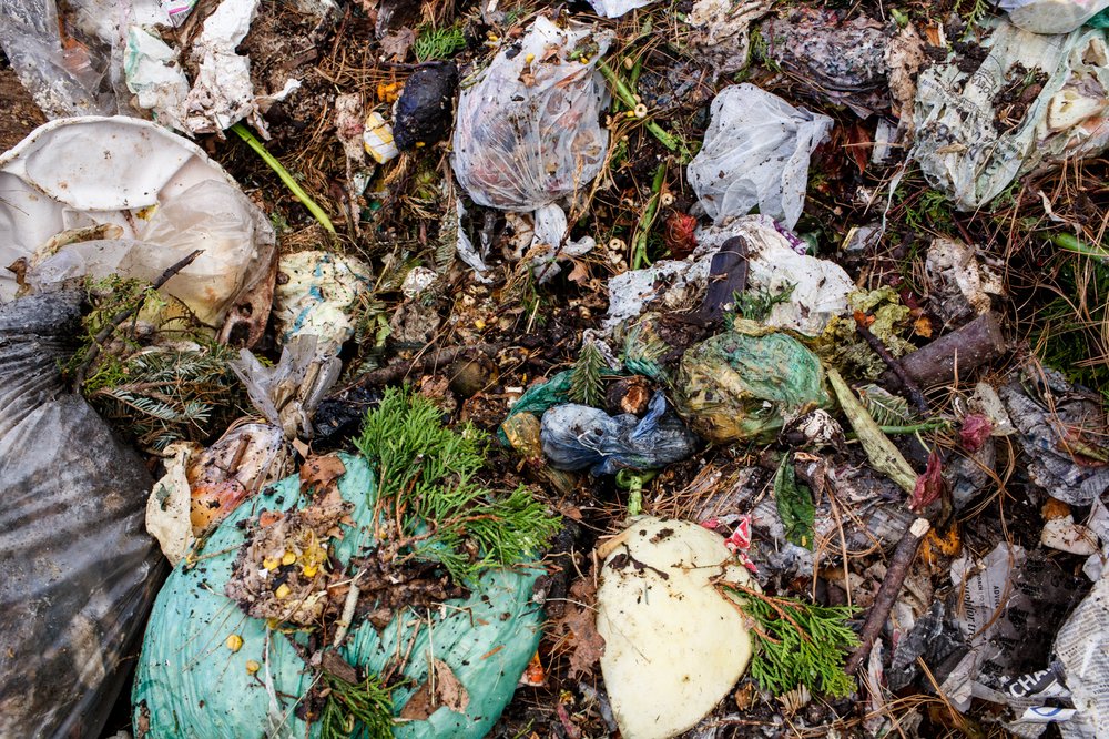 8d9fc2a88032517compostdsny-9-jpg.jpeg Collected compostable waste.</br>