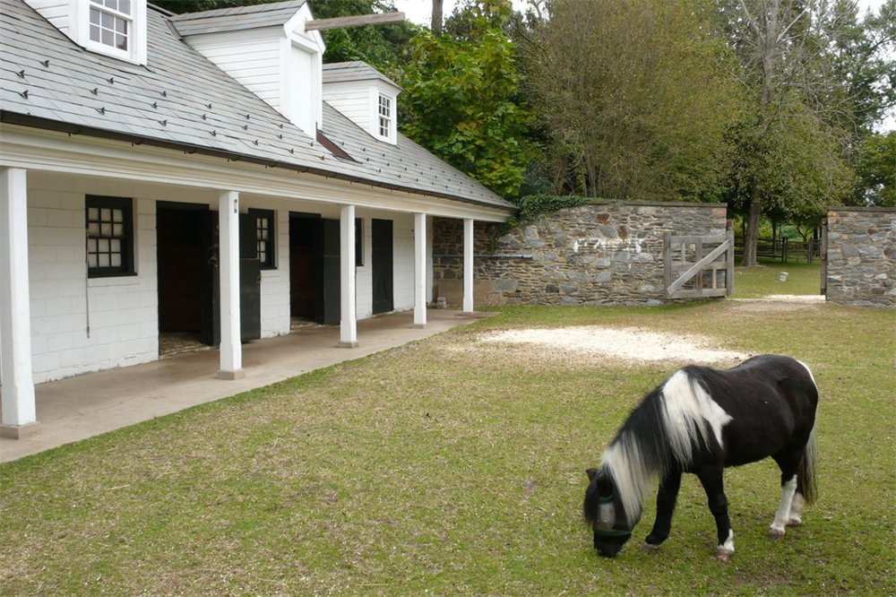 8ed186b1fimagereader-14-jpeg.jpeg The stables (horses not included)<br>