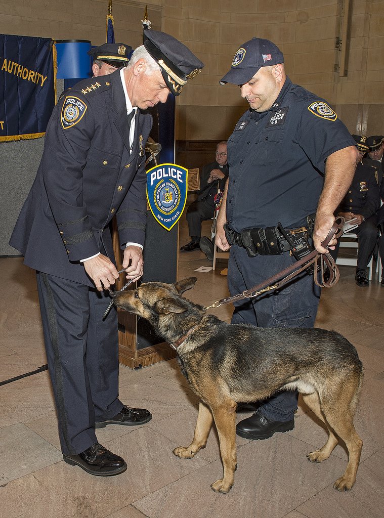 Getting his badge!